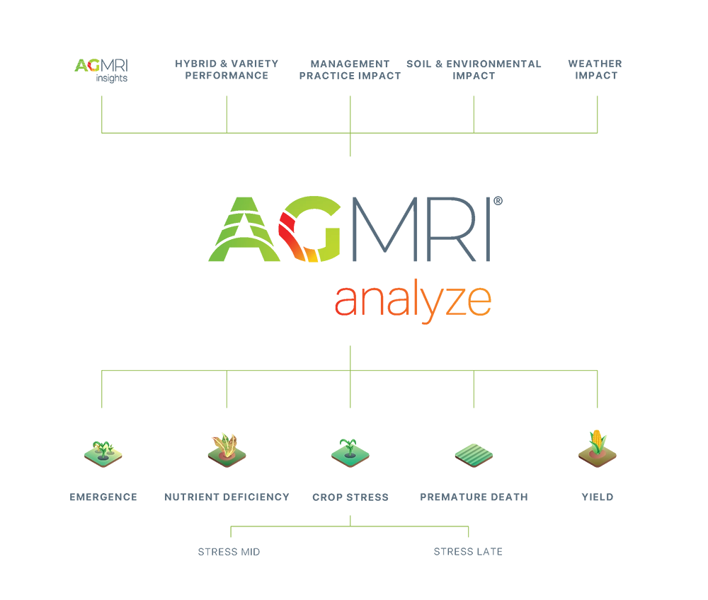 AGMRI Analyze Chart Transparent